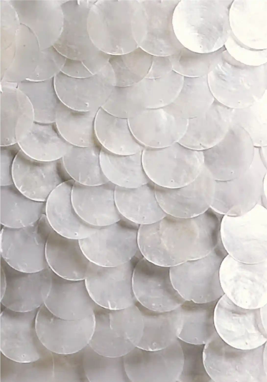 The Mother Of Pearl Skirt - Image 6